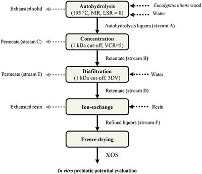 Manufacture and Prebiotic Potential of Xylooligosaccharides Derived From Eucalyptus nitens Wood